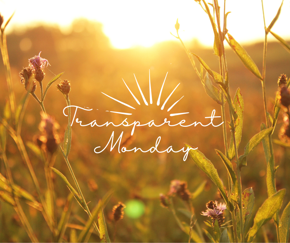 Transparent Motivation