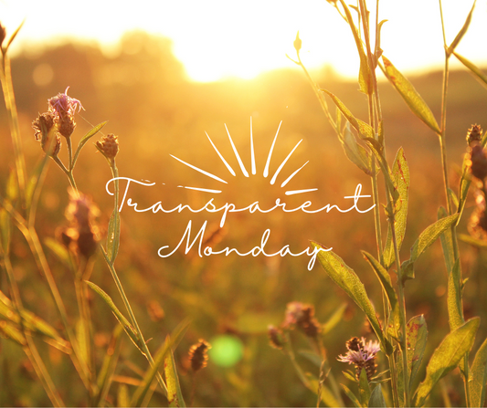 Transparent Motivation